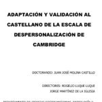 Modelo teórico de la despersonalización de Sierra y Berrios (1998) Captura de pantalla_12-9-2025_233155_